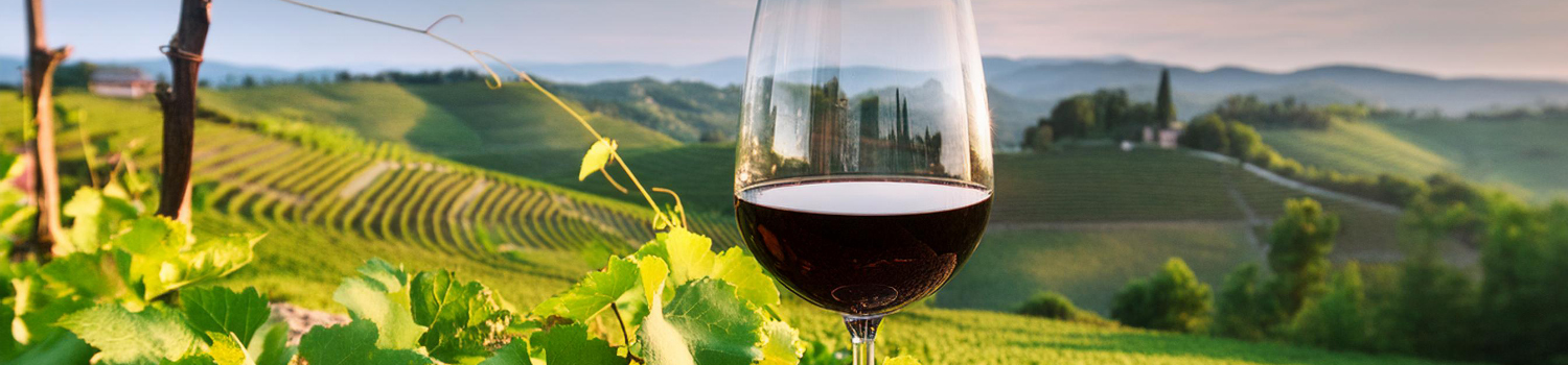 sklenice na Barbaresco